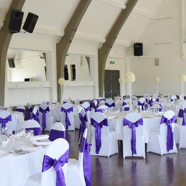 

сатин председатель event декор sash украшения свадебный банкет bow 15x275cm для орденских лент обложка партии ткани церемония bbyctd hotclip