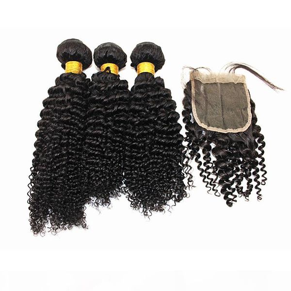 

dilys kinky curly brazilian virgin hair bundles with closures virgin human hair extensions black color 8-28 inch