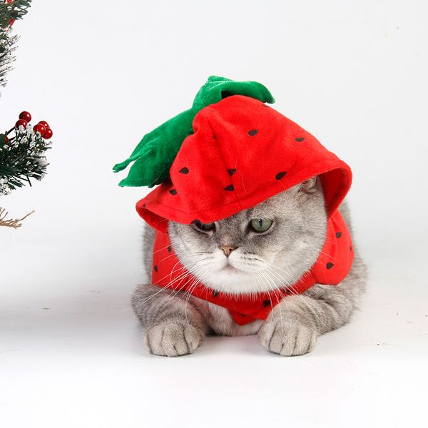 

pet christmas supplies cat dog cloth with red strawberries comfortable party fruit dress for cat puppy factory wholsale