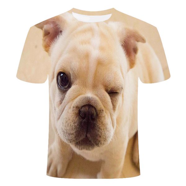 

animal dog pet o-collar summer 110-6xl 3d print shirts graphic harajuku harajuku men clothing