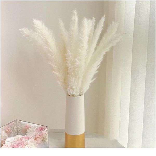 

bulrush natural dried flowers artificial plants branch colorful ins pampas grass phragmites fake flower wedding home de wmtfim