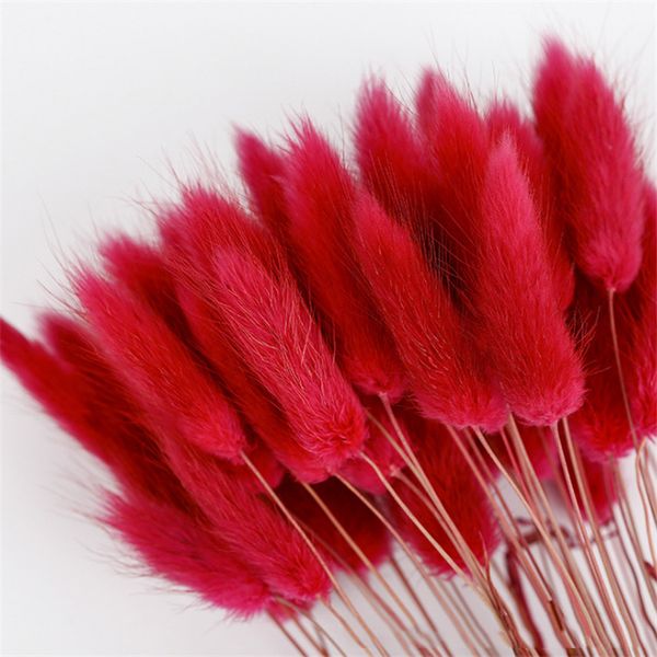 

30pcs/lot gradient lagurus ovatus natural dried flowers bouquet wedding home easter decorations rabbit tail grass real flowers
