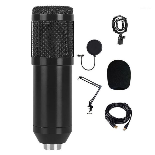 

microphones -bm828 usb microphone professional condenser pc recording karaoke set1