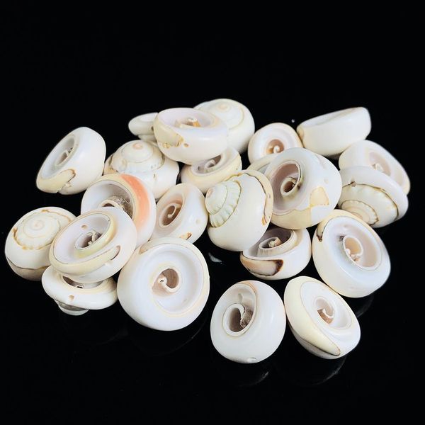 

15 20mm 10pcs natural spiral seashells bead conch head nautical decor beach wedding decorations necklace diy jewelry making h bbyqfa