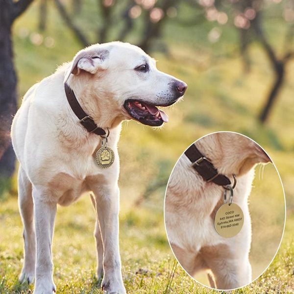 

customized pet dog id tag engraving dogs cats nameplate pet dog collar accessories stainless steel pet name wmtacl