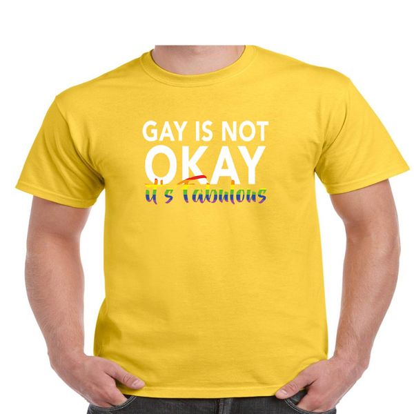 

gay is not ok its fabulous t shirt gay pride #210 mens and youth sizes loose size ajax sport hooded sweatshirt hoodie