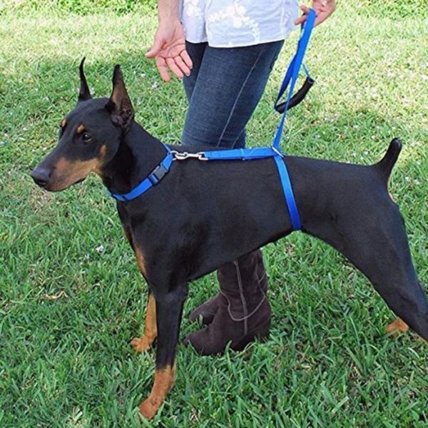 

head collars pet strong durable harnesses dogs traction rope for a safe walking basic halter harnesses1