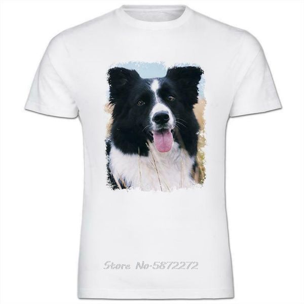 

sport border collie dog sitting in field mens cotton t-shirt tee shirt