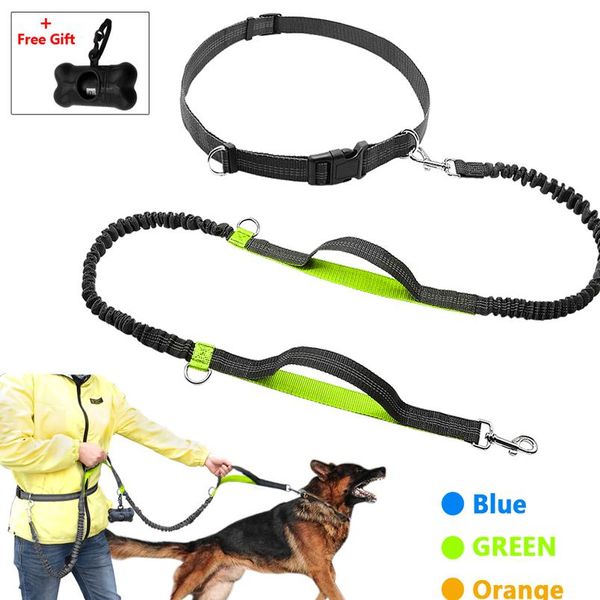 

retractable hands dog leash for running dual handle bungee leash reflective for up to 150 lbs large dogs bag d sqctek