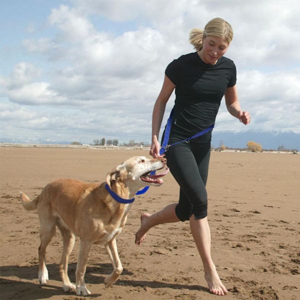 

6 way multi-functional nylon dog leash adjustable lead hands pet training leash black sqczbg