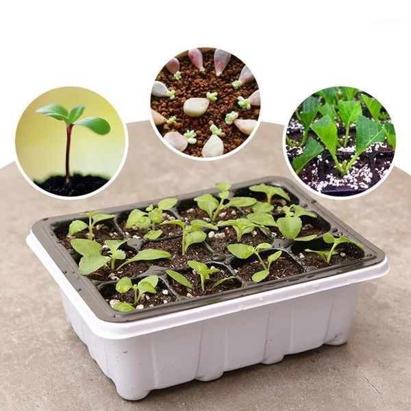 

planters & pots 6/12-hole seedling box tray seed plant starter garden supply home gardening l51