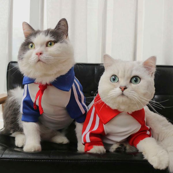

cute pet school uniform spring and summer thin teddy bomei kitten dog sweater british short blue cat cloth