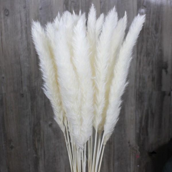 

30pcs natural dried pampas grass reed dried flowers natural phragmites communis wedding flower bunch home decor