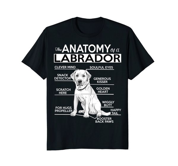 

sport 2019 new short sleeve casual anatomy of a labrador tshirt summer casual man t shirt good quality