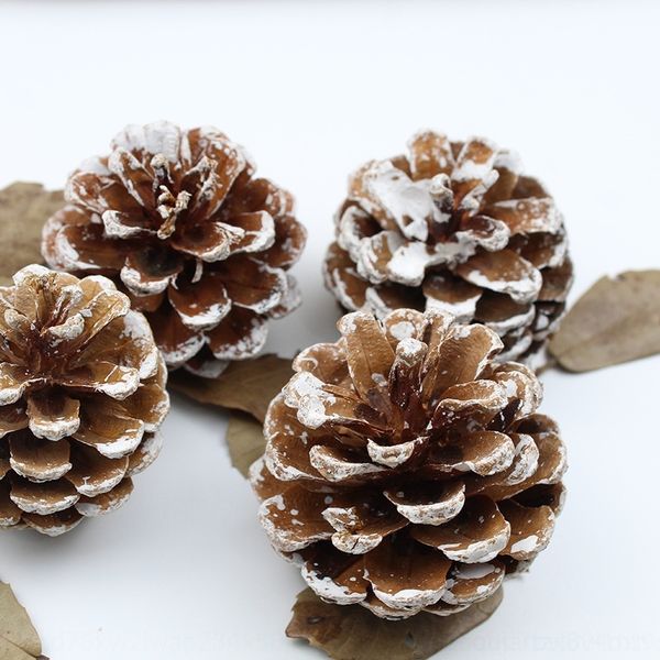 

jmmmf christmas tree pine cone decoration pendant primary color dyed white edge pine cone ornament christmas ornament pendant flower snow dr