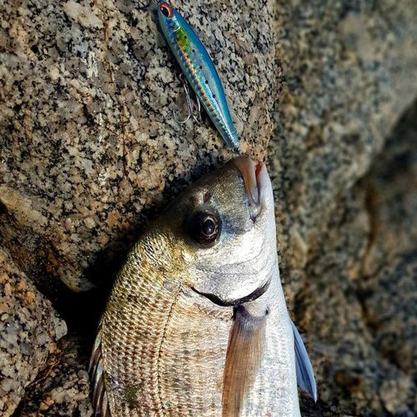 

1pcs pencil lure 8cm 16.1g fishing lures hard baits minnow ice fish japan fishing tackle goods whopper swimbait wint jllsbn