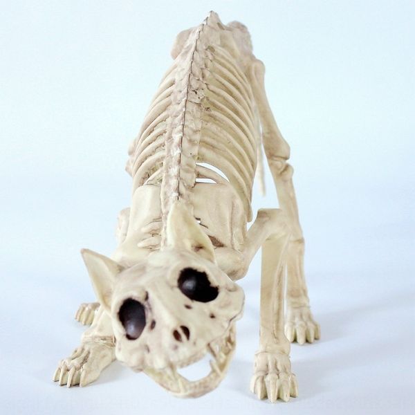 

6uaqc horror skull and props skeleton ornament props cat halloween ornament animal skeleton model bat scorpion ntbw7