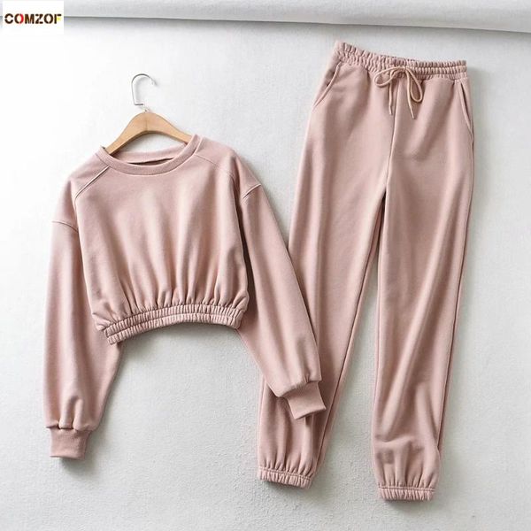 

women's tracksuits autumn winter women short hoodies+sweatpants fleece suits long sleeve crop lady casual 2 piece sets ropa coreana, Gray