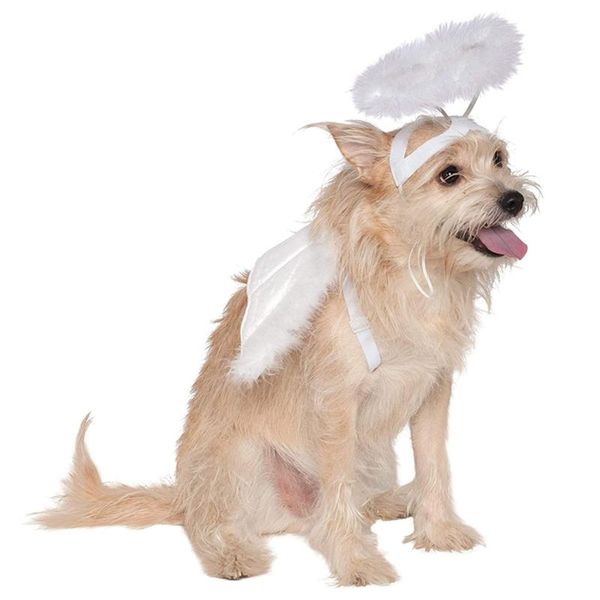 

dog feather angel halo wing pet costume accessories set pgraphy props q0ka