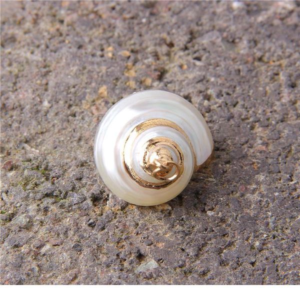 

22*14-26*16 mm 5 pcs natural spiral shell charm pendants conch at random gold for jewelry making diy necklace bracelet jllyjq, Black