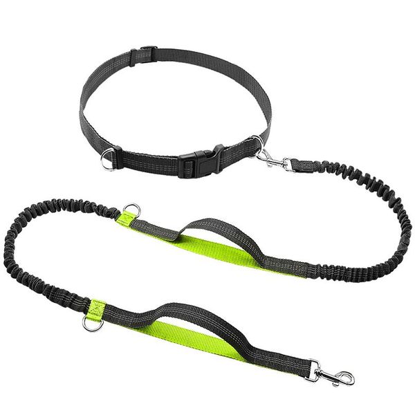 

hands dog leash retractable bungee leash lead reflective for running walking up to 150 lbs large dogs bag d sqczis