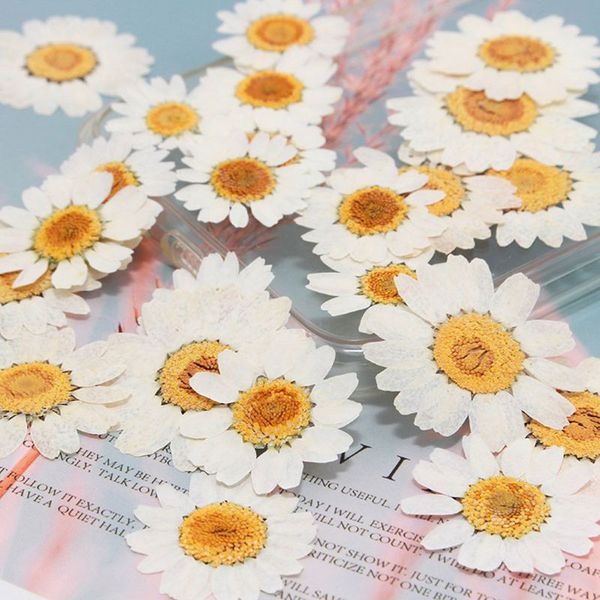 

100pcs real natural dried flowers white daisy pressed flower for resin jewelry nail stickers makeup art crafts q1106