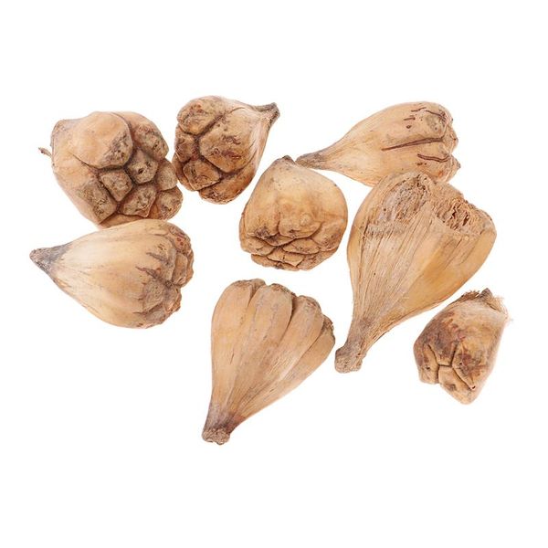 

50 pieces mini natural dried bergamot fruit for christmas wedding home party ornament gift for friend family