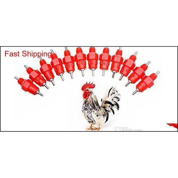 

2000pcs nipple drinker feeder water cups chicken drinkers waterer 360 angle poultry supplies qyltqy sports2010