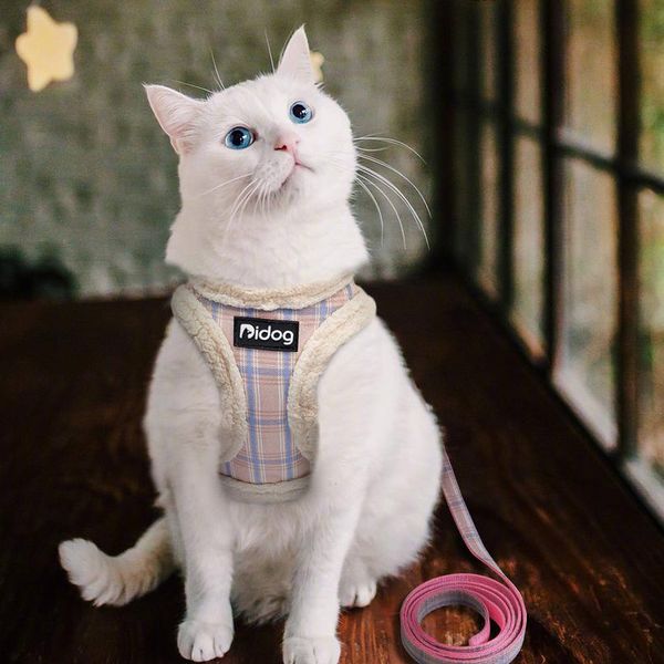 

cute pet cat жгут жилет мягкий мягкий чихуахуа щенок кошка ореховая воротник регулируемый гуляющий поводок для маленькой среды d bbykyi