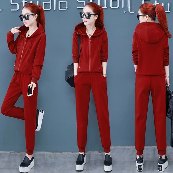 

new leisure sports suit of 2019 winter wear sweater sweaterplush thickened women's sweater women's clothing fashion fashion fashio, Gray