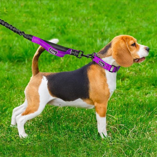 

dog leash lead elastic bungee dog leash nylon reflective dog running leash pet puppy walking leashes traction rope 2 sqcvvv