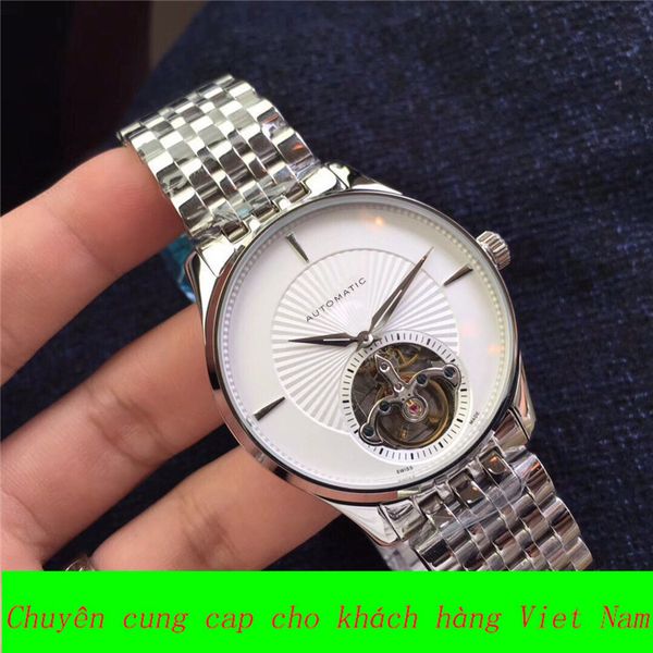 

watch men's automatic hollow out waterproof mechanical watch swiss business leisure watch, Slivery;brown