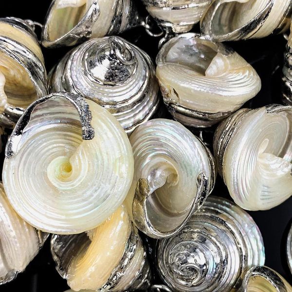 

loose conch hoop dangle earrings gold plated ocean seashell drop dangling earrings pendant dropping jewelry diy parts crafts h jllhrn