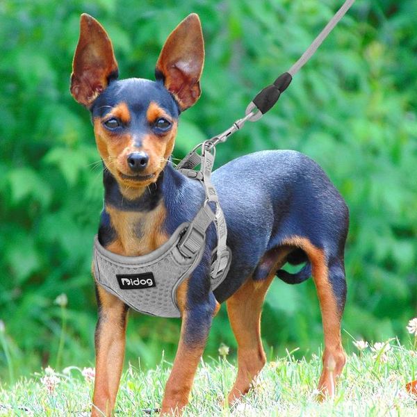 

reflective dog harness adjustable nylon mesh pet puppy harness vest pets walking leash lead for small medium dogs arn bbynby