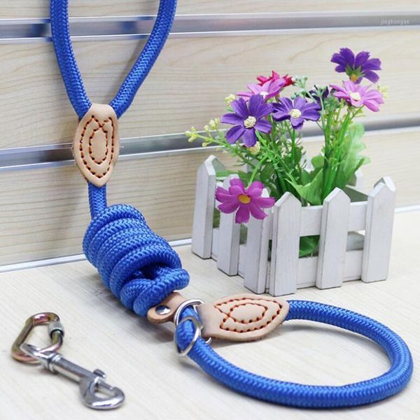 

dog training leash slip pet dog nylon rope lead strap adjustable traction collar red blue yellow1