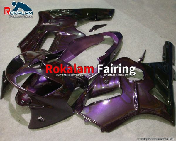 2005 2006 Peças de motocicleta ZX-12R para Kawasaki Ninja 2002 2003 2004 ZX12R ZX 12R Fairing Fairings (moldagem por injeção)