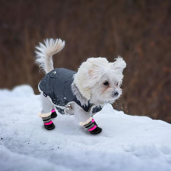 

winter warm dog shoes non-slip cotton reflective pet shoes for small medium dogs chihuahua snow thick d jllnok