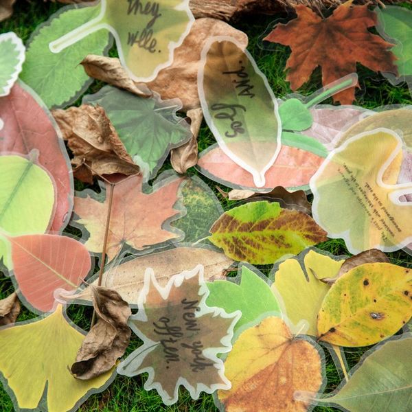 

tianzi 8 designs 30pcs deciduous garden decoration sticker scrapbook diary toy decoration diy stationery sticker aesthetics bbysze bwkf