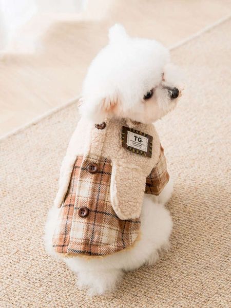 

chaoku dog autumn and clothing teddy's two legged pet in winter