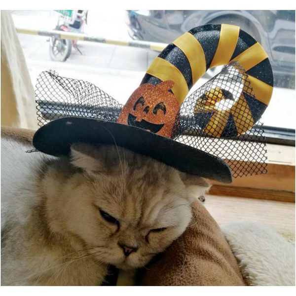 

cat costumes halloween pet supplies pet dog ornaments halloween pet spider hat pumpkin wizard turns cap 84wjp