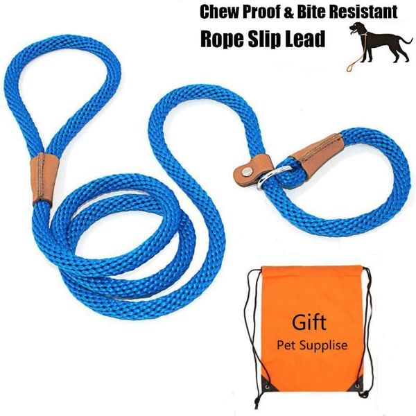 

new dog lead leash nylon dog leash adjustable harness for small medium dogs puppy traction rope belt supplies1
