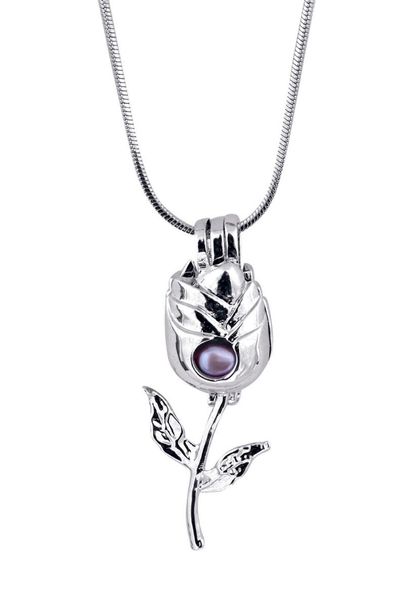 

pearl rose cage pendant essential oil diffuser provides silver-plated makes it more attractive p54