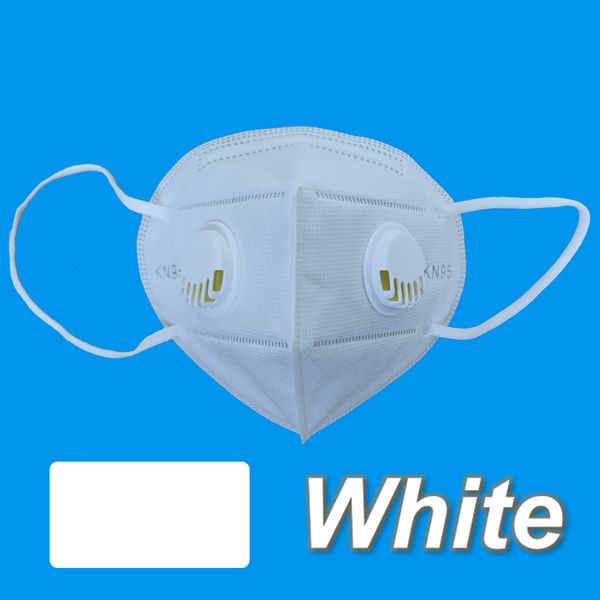 

shipping kn 95 2 valve mask dhl face mask with double breathevalve respirators black gray white blue pink yellow ma
