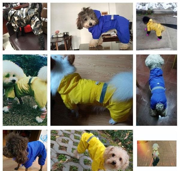

new 2020 pet cat dog raincoat hooded reflective puppy small dog rain coat waterproof jacket for dogs soft breathab jllbno loveshop01