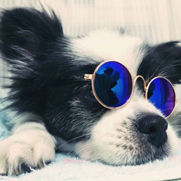

1pcs lovely multicolor for products ps props accessories cool pet glasses small dogs puppy cat sunglasse