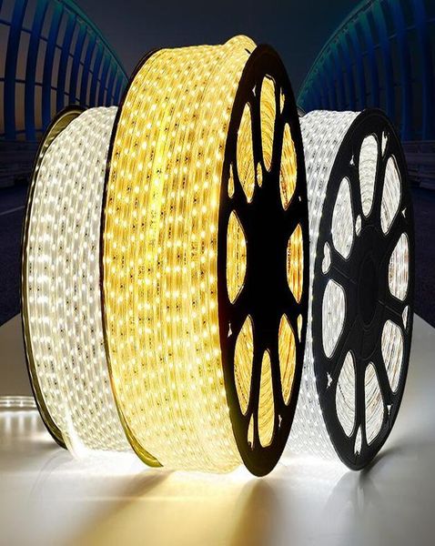 

ac220v светодиодные ленты smd 5050 гибкий свет 60leds m водонепроницаемый led ленты светодиодные с power plug 1м 2м 5м 6м для наружного сада
