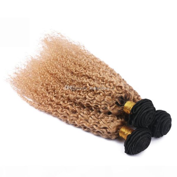 

strawberry blonde human hair weaves afro kinky hair extension two tone brazilian virgin kinky curly human hair for black women, Black;brown