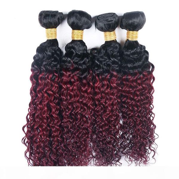 

kinky curly 4 bundles t 1b 99j ombre dark wine red two tone color brazilian virgin human hair weave 4 bundles extension, Black
