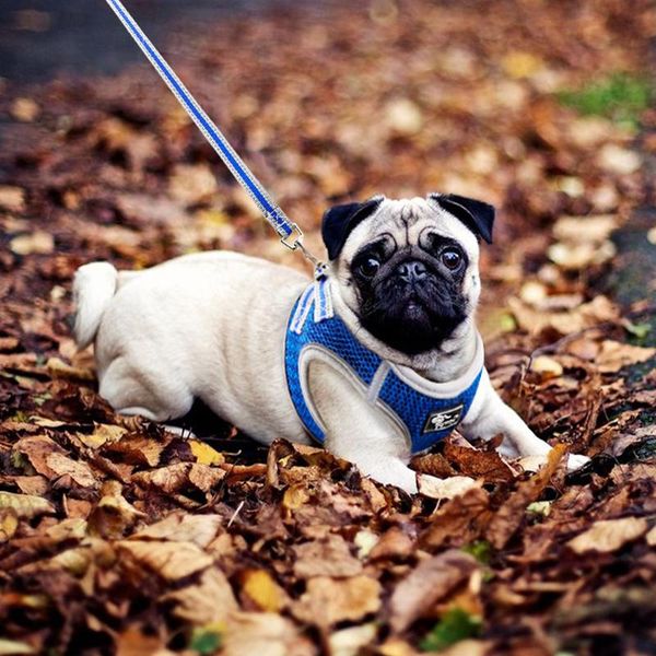 

reflective nylon mesh dog harness and leash set breathable pet dog harness vest lead leash for small med jllzla