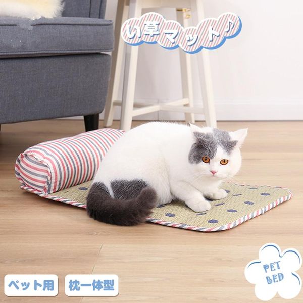 

cat beds & furniture sleeping bed summer cooling mattress dog sofa house small pets with pillow kitten puppy kennel nest non-slip cushion